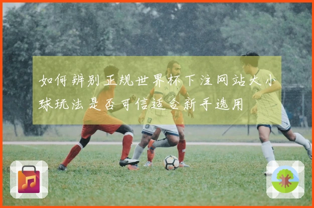 如何辨别正规世界杯下注网站大小球玩法是否可信适合新手选用