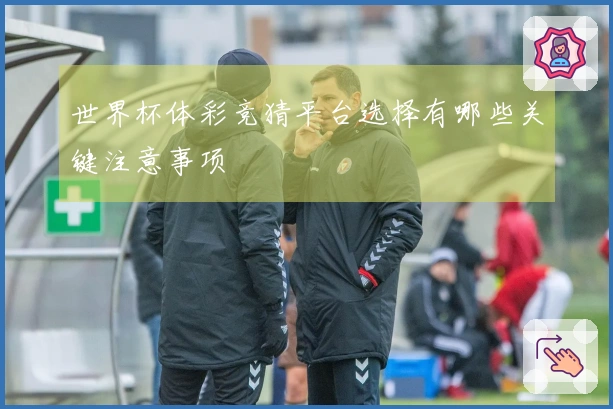 世界杯体彩竞猜平台选择有哪些关键注意事项